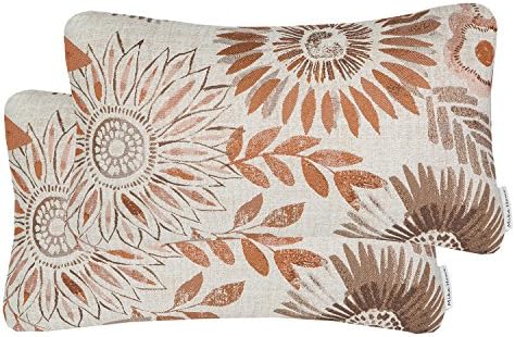 Pack of 2 Decorative Throw Pillows Cases Cushion Cover for Sofa Couch Bed,Sunflower Pattern,20x20 Inches,Blue Cream