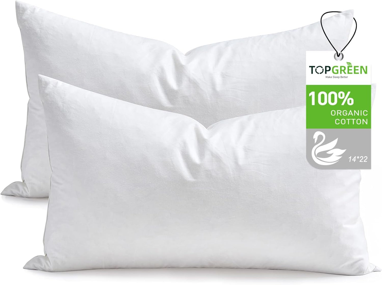 Feathers Down Throw Pillow Inserts 22x22, Set of 2, 100% Organic Cotton Shell, Soft Decorative Square Pillows Insert for Living Room Sofa, Couch, or Bed (White)